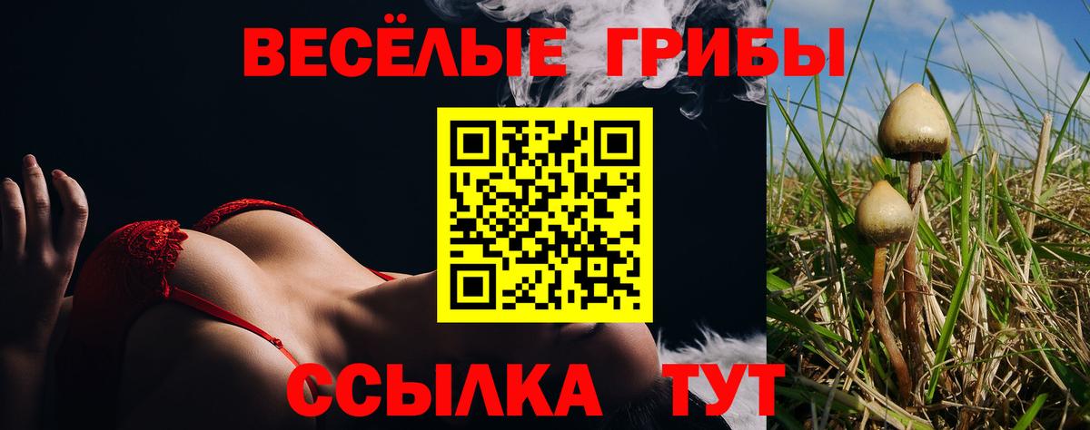 Псилоцибиновые грибы GOLDEN TEACHER  Вход с VPN  Мариинск  Галлюциногенные грибы MAGIC MUSHROOMS 